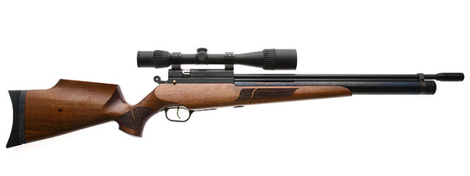 Evanix Hunting Master AR6
