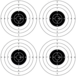 GAMO SCIATTOLO SAGOMA field target bersaglio automatico carabina