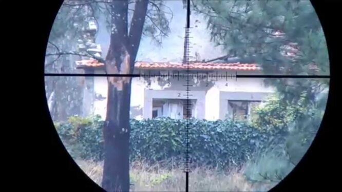 Edgun Ottica 12x44