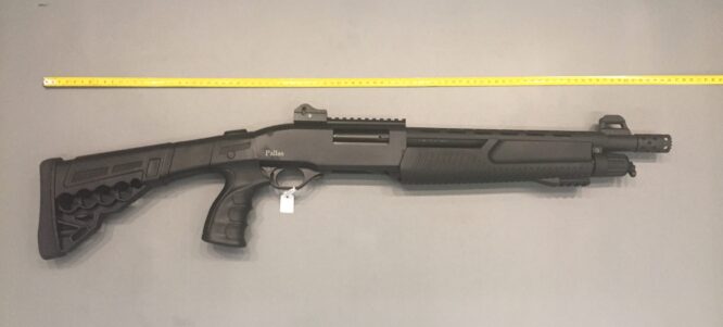 Pallas Fucile a Pompa Tactical Compact Cal. 12