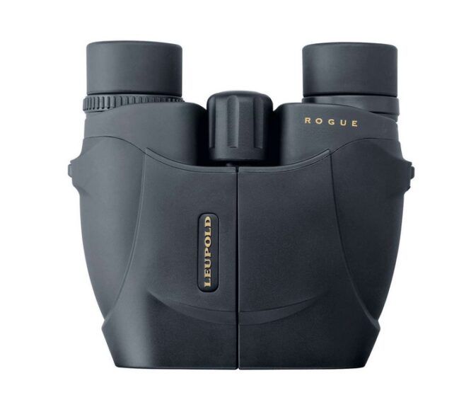 Leupold Binocolo BX-1 Rogue Compact 10x25 Black (12419)